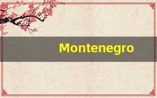 Montenegro的翻译,Montenegro怎么读,Montenegro造句及用法