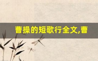 曹操的短歌行全文,曹操的短歌行讲了什么,曹操的短歌行经典句子