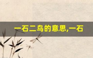 一石二鸟的意思,一石二鸟的近义词反义词,一石二鸟造句例句,一石二鸟出处及解释
