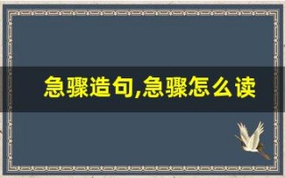 急骤造句,急骤怎么读,急骤的意思,急骤的组词