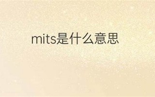 mitten什么意思,mitten中文翻译,mitten用法及例句,mitten怎么读