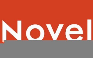 novel什么意思,novel中文翻译,novel用法及例句,novel怎么读