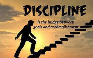 discipline怎么读,discipline中文翻译,discipline什么意思,discipline用法及例句
