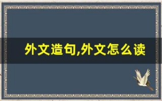 外文造句,外文怎么读,外文的意思,外文的组词