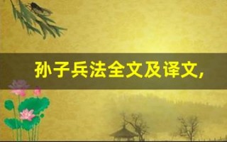 孙子兵法全文及译文,孙子兵法讲了什么,孙子兵法经典句子