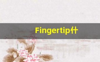 Fingertip什么意思,Fingertip用法,Fingertip的发音,Fingertip翻译
