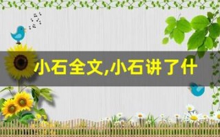 小石全文,小石讲了什么,小石经典句子
