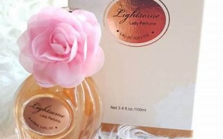 lightsome什么意思,lightsome中文翻译,lightsome用法及例句,lightsome怎么读