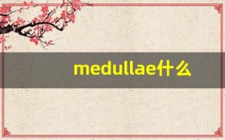 medullae什么意思,medullae用法,medullae造句