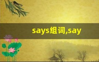 says组词,says中文翻译,says造句,says的发音