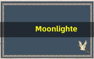 Moonlighter的翻译,Moonlighter怎么读,Moonlighter造句及用法