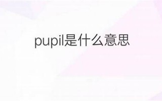 pulil中文翻译,pulil发音,pulil用法及例句,pulil是什么意思