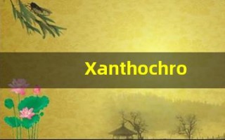 Xanthochromium什么意思,Xanthochromium用法,Xanthochromium造句,Xanthochromium的发音