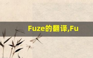 Fuze的翻译,Fuze怎么读,Fuze造句及用法
