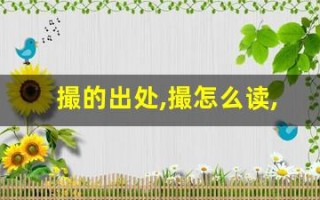 撮的出处,撮怎么读,撮的意思,撮的拼音