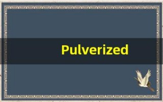 Pulverized什么意思,Pulverized用法,Pulverized的发音,Pulverized翻译