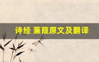 诗经 蒹葭原文及翻译,诗经 蒹葭全文,诗经 蒹葭翻译,诗经 蒹葭全诗解析