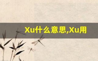 Xu什么意思,Xu用法,Xu造句,Xu的发音