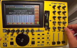 marish什么意思,marish中文翻译,marish用法及例句,marish怎么读