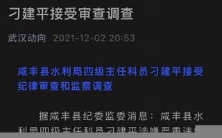 lour什么意思,lour中文翻译,lour用法及例句,lour怎么读
