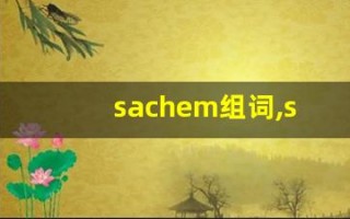 sachem组词,sachem中文翻译,sachem造句,sachem的发音