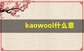kaowool什么意思,kaowool造句用法,kaowool的发音,kaowool中文翻译