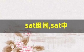 sat组词,sat中文翻译,sat造句,sat的发音