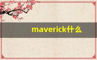 maverick什么意思,maverick用法,maverick造句