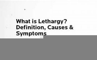 lethargy什么意思,lethargy中文翻译,lethargy用法及例句,lethargy怎么读