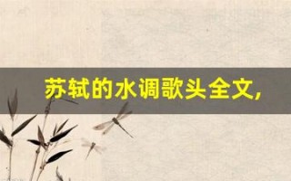 苏轼的水调歌头全文,苏轼的水调歌头讲了什么,苏轼的水调歌头经典句子