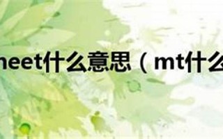 meet什么意思,meet中文翻译,meet用法及例句,meet怎么读