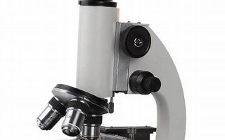 microscope什么意思,microscope中文翻译,microscope用法及例句,microscope怎么读