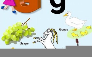 grape怎么读,grape中文翻译,grape什么意思,grape用法及例句