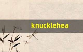 knucklehead发音,怎么读,knucklehead什么意思,knucklehead例句用法