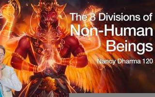 nonhuman什么意思,nonhuman中文翻译,nonhuman用法及例句,nonhuman怎么读
