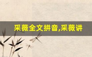 采薇全文拼音,采薇讲了什么,采薇经典句子
