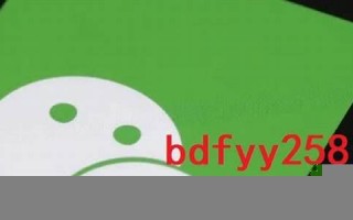 opaque什么意思,opaque中文翻译,opaque用法及例句,opaque怎么读