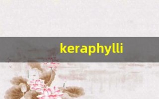 keraphyllite什么意思,keraphyllite造句用法,keraphyllite的发音,keraphyllite中文翻译
