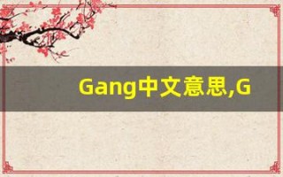 Gang中文意思,Gang中文翻译,Gang用法及例句,Gang语法