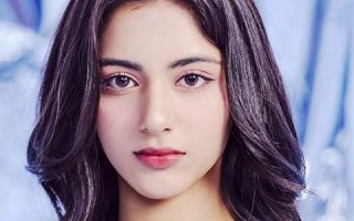 aria什么意思,aria,发音,aria用法及例句,aria英文怎么读,aria(aria的中文意思)