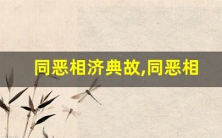 同恶相济典故,同恶相济故事,同恶相济是什么意思