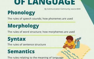 linguistics什么意思,linguistics中文翻译,linguistics用法及例句,linguistics怎么读