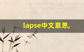 lapse中文意思,lapse中文翻译,lapse用法及例句,lapse语法