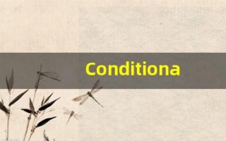Conditional什么意思,Conditional用法,Conditional的发音,Conditional翻译