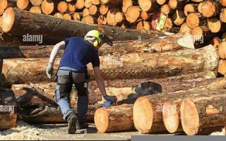 lumbering什么意思,lumbering中文翻译,lumbering用法及例句,lumbering怎么读