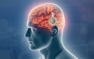 puce什么意思,puce中文翻译,puce用法及例句,puce怎么读
