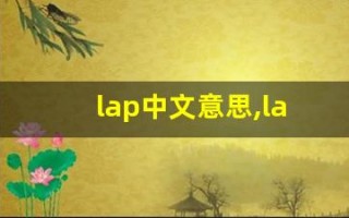 lap中文意思,lap中文翻译,lap用法及例句,lap语法