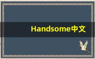 Handsome中文释义,Handsome中文翻译,Handsome造句,Handsome的发音