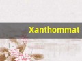 Xanthommatin什么意思,Xanthommatin用法,Xanthommatin造句,Xanthommatin的发音