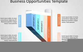 opportunist什么意思,opportunist中文翻译,opportunist用法及例句,opportunist怎么读
